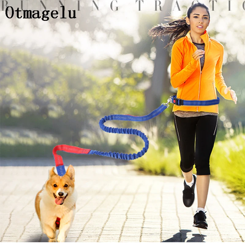 New Elastic Dog Traction Belt Rope Set Dog Leash Pet Run with Keeper Pets Sport Leash With Belt Free Hand Multifunctional Leash8
