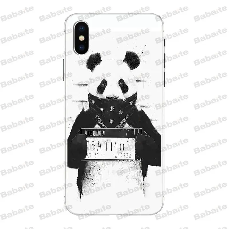 Cool panda