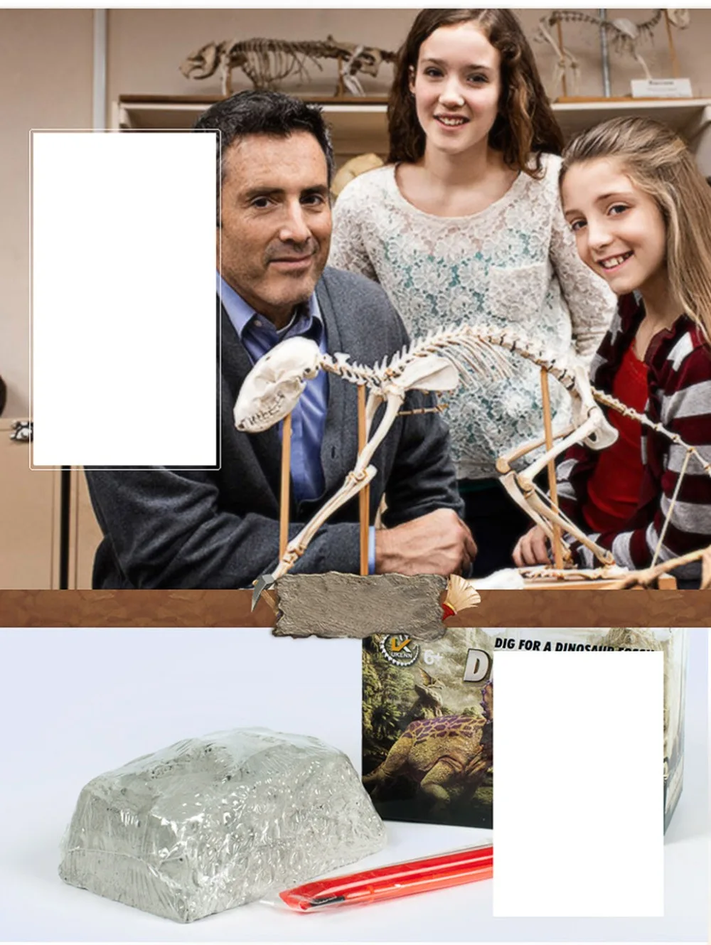 ZRJ81222110_20181222094137583