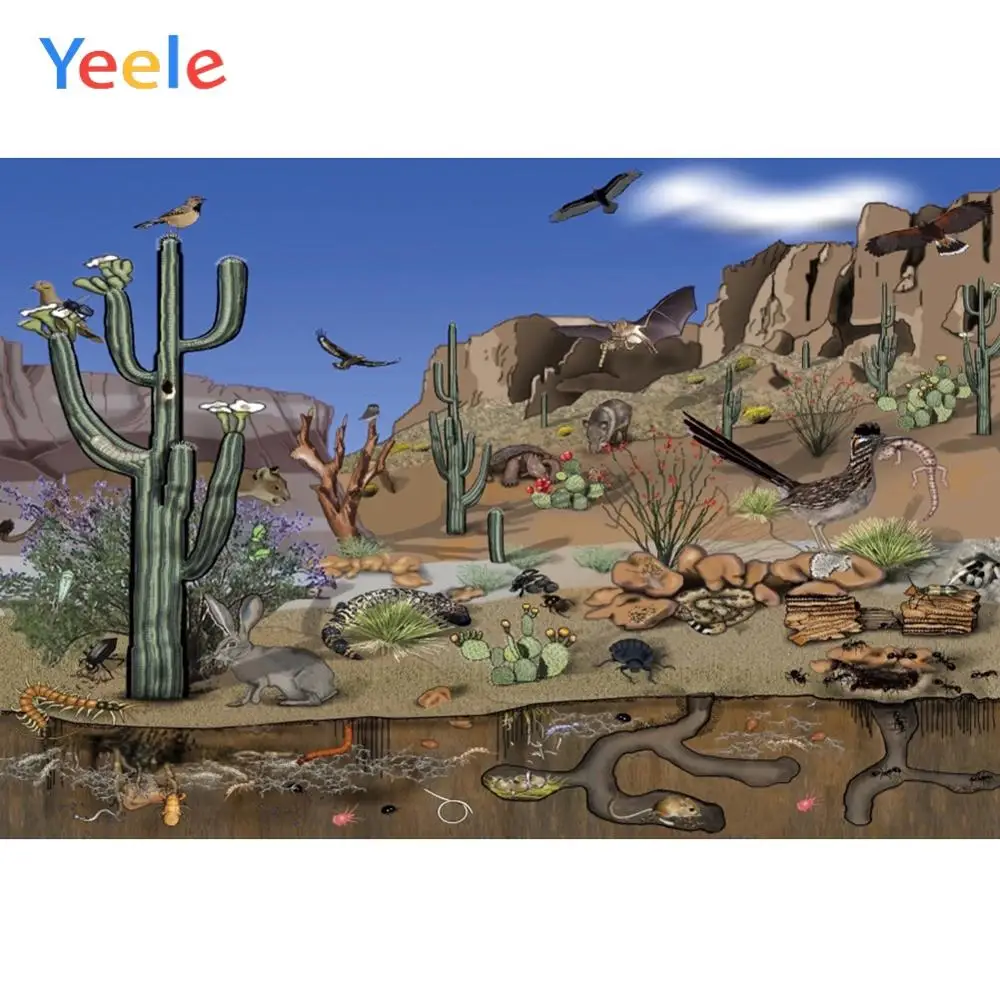 

Yeele Tropical Desert Biological Chain Scenery Wallpapers Of Photography Backdrops Photographic Backgrounds For Photos Studio