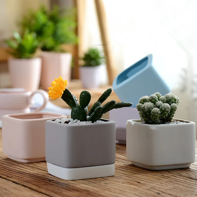 mini ceramic flower pots planters for succulents indoor modern ... mini ceramic flower pots planters for succulents indoor modern ...