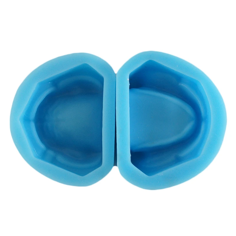 

High quality silicon rubber mould of Holostomatous without teeth model
