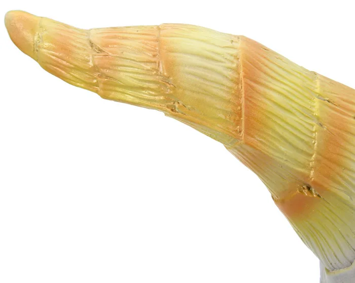 201509251339134374