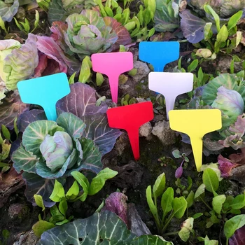 

200 Pcs Plant Tag T-Type Plastic Nursery Garden Plant Label Flower Thick Tag Label Mark Garden Decoration Ornaments