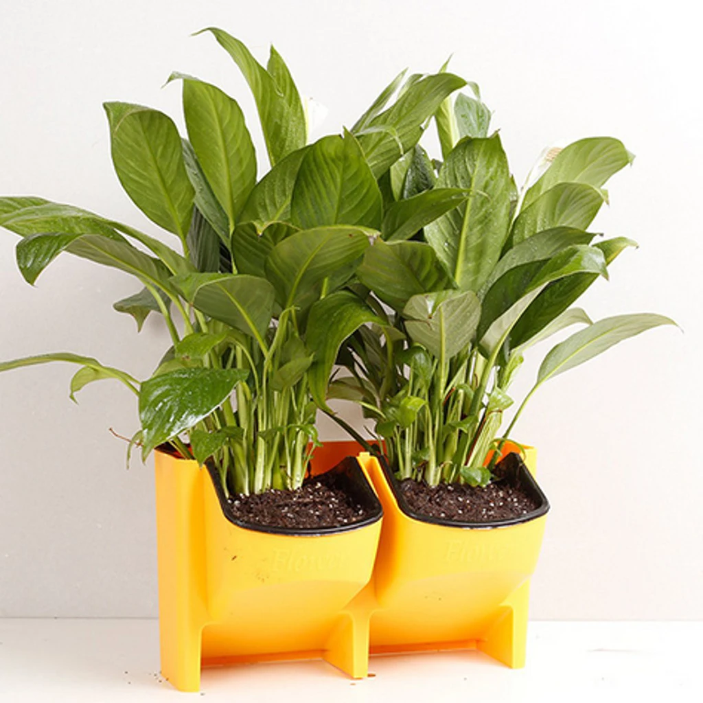 Wall Hanging Garden Planter Box 2 Pocket Indoor Outdoor Vertical Herb Pot Decor / White Green Red Yellow PICK