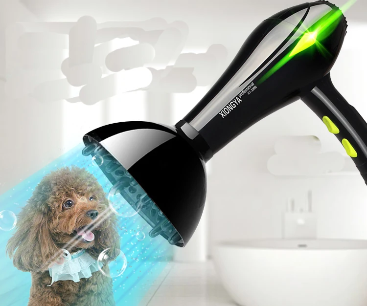 Buy High power pet dryer mute dog hair dryer golden