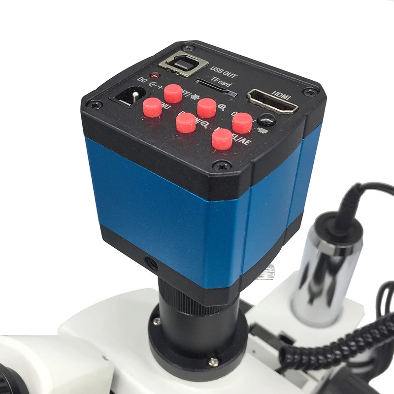 TXB2-D4-H-06