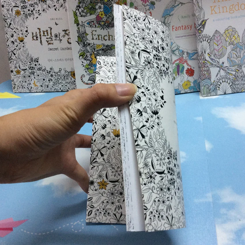 24 стр. Secret Garden антистресс для взрослых раскраски Iibros в стиле книги Ливр детская