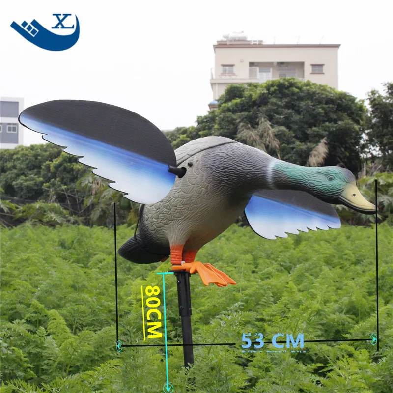 Hunting  Duck (19)