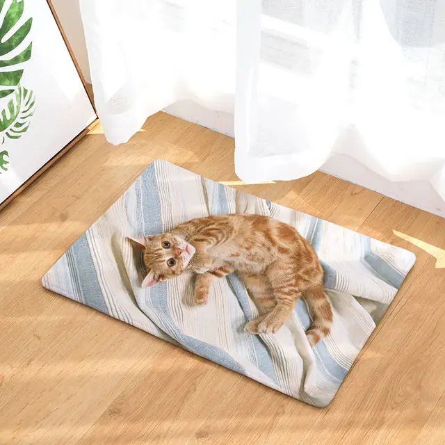 2017 New Cat Print Carpets Non slip Kitchen Rugs for Home Living Room