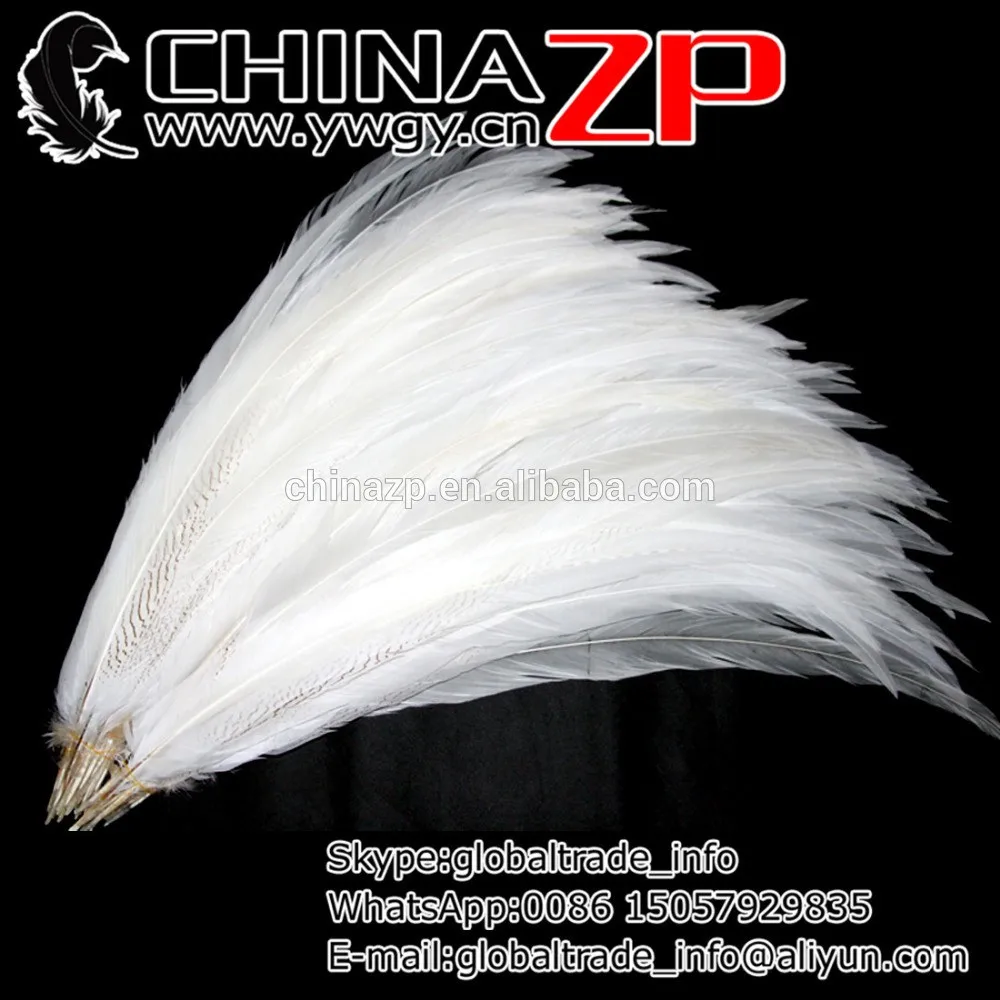Long Siliver Pheasant feathers (1)