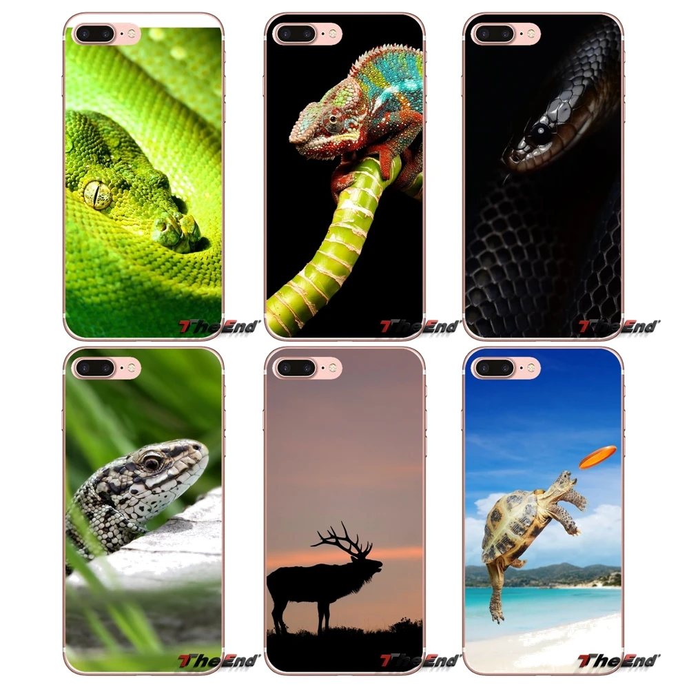 

animal beach landscape reptiles snake Case For iPhone X 4 4S 5 5S 5C SE 6 6S 7 8 Plus Samsung Galaxy J1 J3 J5 J7 A3 A5 2016 2017