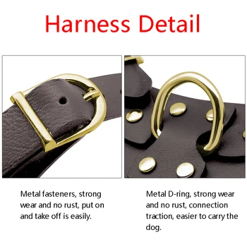 Pit Bull Dog Harness Leash Set No Pull Genuine Leather Dogs Harnesses Step in Pet Harness Vest Lead for Small Medium Dog Pitbull