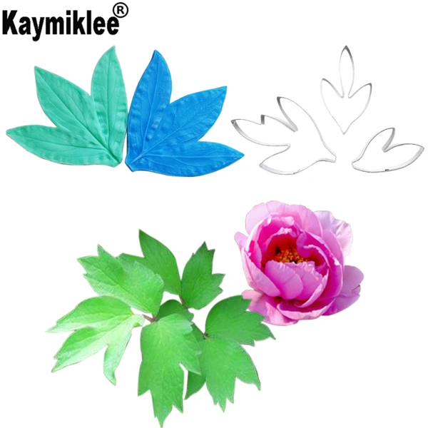 CS295-yy s