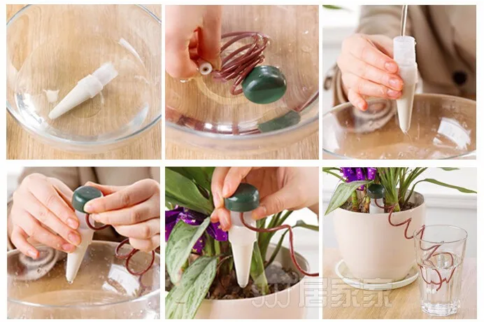 HTB1plpyHFXXXXbnXXXXq6xXFXXXS