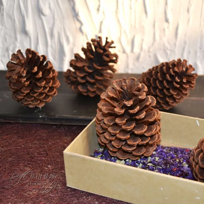 Natural-pine-cones-pine-cone-8cm-shooting-decorative-artificial-flowers-dried-flowers-Yunnan-dried-flers-really