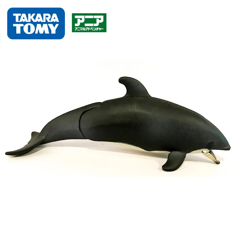 TAKARA TOMY, дикие животные, мир, модель игрушек, морской лев, лес, король, тигр, фигурка, фигурка, обезьяна, кролик, Зебра, кукла, детские подарки - Цвет: haitun