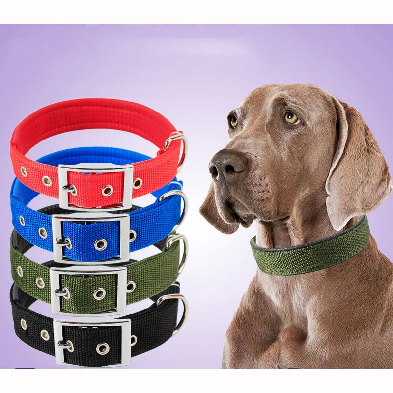 Solid Dog Collars Nylon Dog Collar For Small Medium Large Dogs Teddy Keji Pitbull Bulldog Beagle