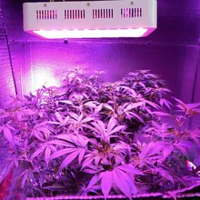 Лучший полноспектральный светодиодный светильник 800 Вт для выращивания гидропоники, теплицы, тент, коробка, светодиодный светильник, подходит для всех стадий роста растений