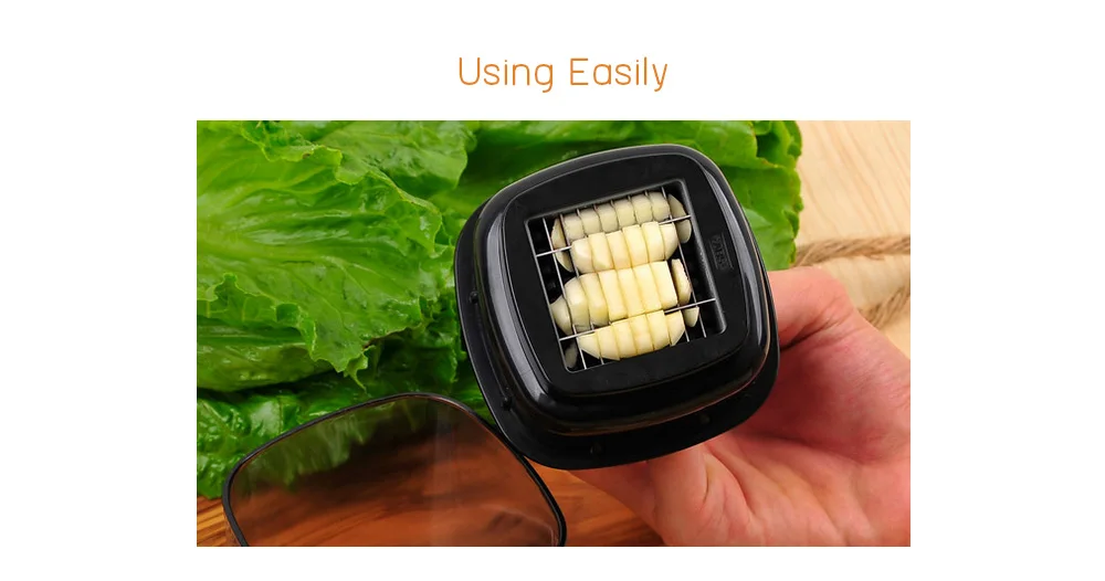 Garlic Press Chopper