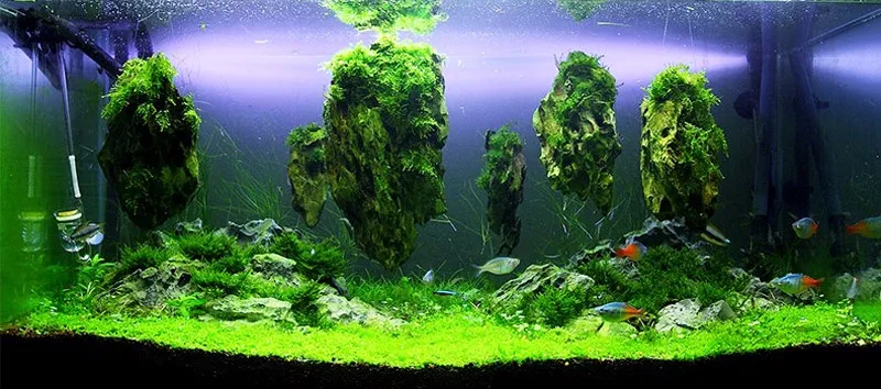 3 шт./лот Аватар плавающий реальные скалы водяное растение для аквариума fish tank aquatic ландшафт мха