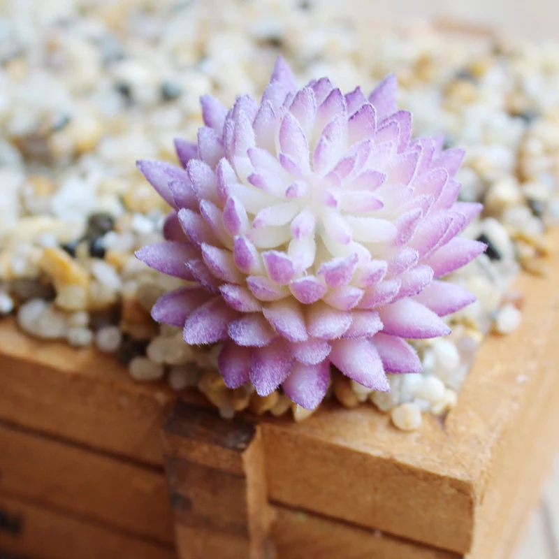 Цельный искусственный пластиковый растение суккулент кактус эчеверия цветок домашний офис Декор подарок искусственные суккуленты украшения - Цвет: Flocking Purple
