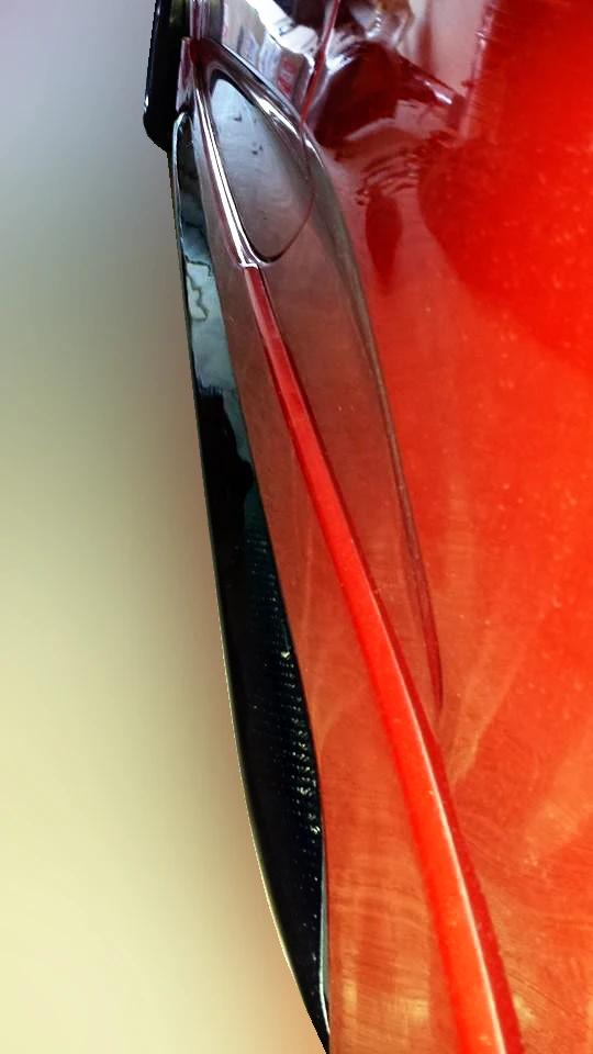 Veloster OEM Side Skirt Cover(5)