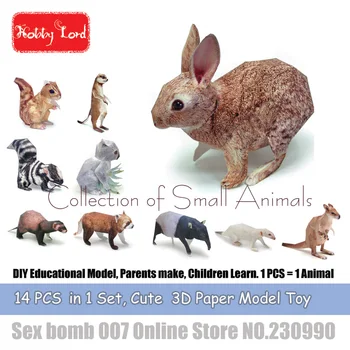 

14 PCS in 1 Small Cute Animal 3D Paper Models raccoon DIY Educational Model Toys For Kid Adult crafting class Teaching material