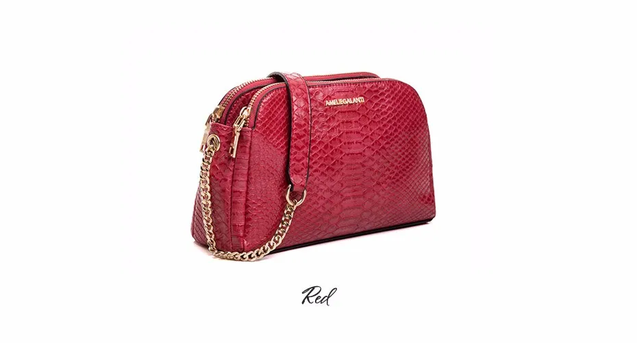 AMELIE GALANTI new fashion messenger bags for women famous design crossbody bags serpentine zipper soft pu falp bag lady 2017 (18)