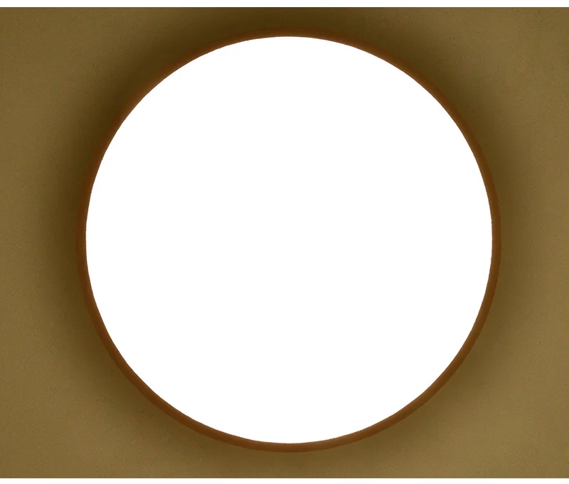 color led ceiling lights (6)