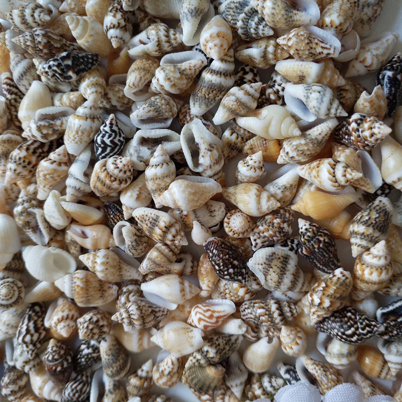 100 шт мини раковины моллюсков микро-пейзаж аквариум аксессуары для аквариумов украшения
