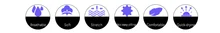 HTB1Q7SmKf9TBuNjy0Fcq6zeiFXaG