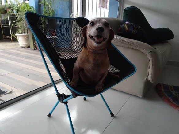 UTB8.358tKvJXKJkSajhq6A7aFXai