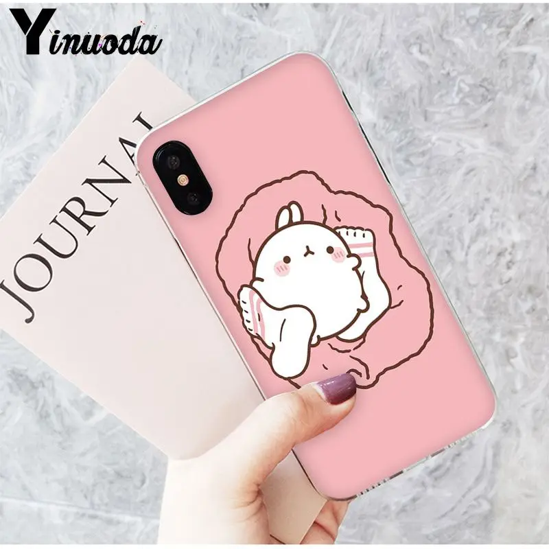 Funny and cute cartoon rabbit