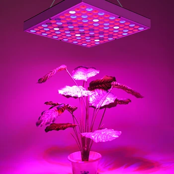 

Phyto Lamp Indoor Grow Lamp For Plant 380-780nm Full Spectrum LED Growing Light 85-265V 75leds 144leds 25W 45W UV IR Lamps Panel