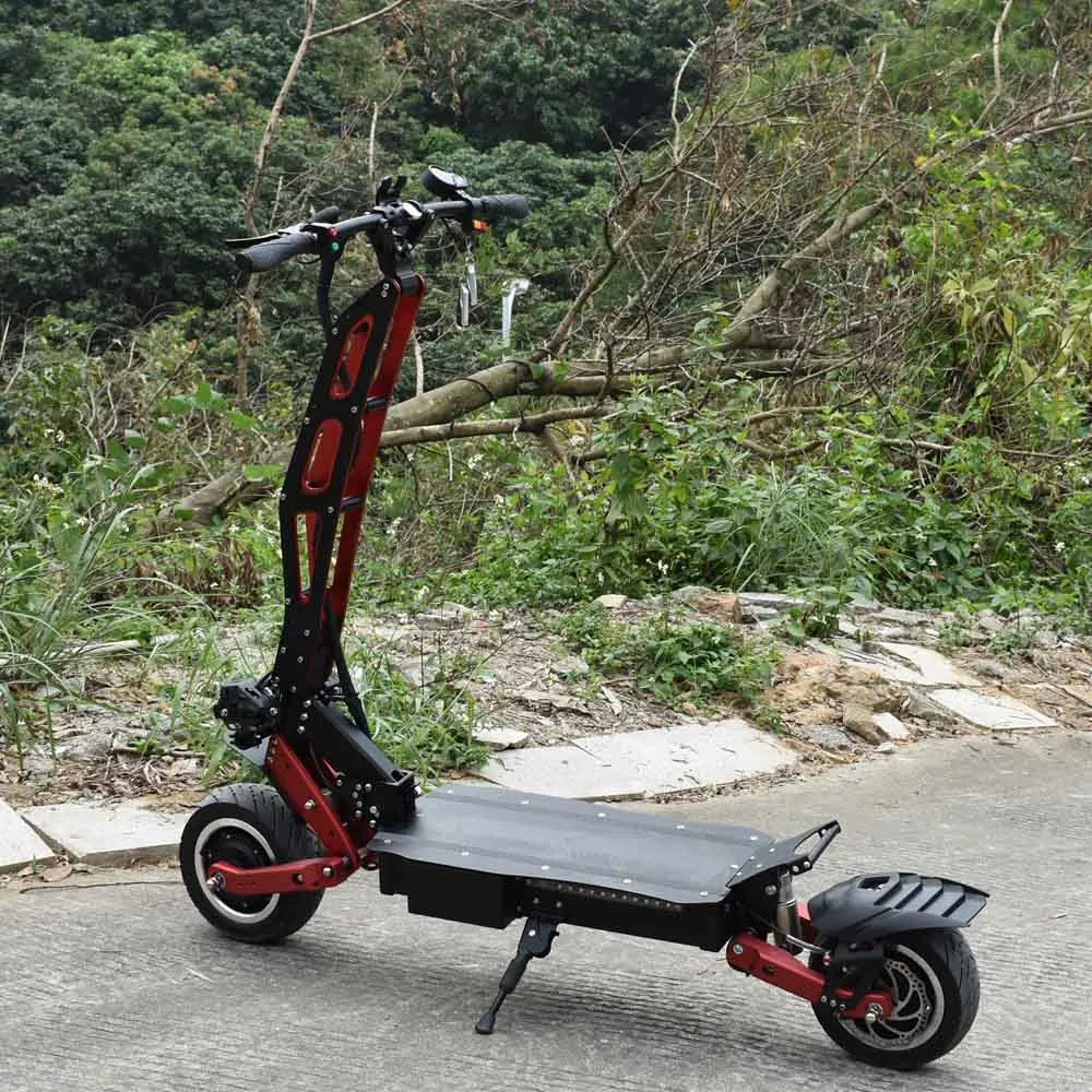 

Citycoco 2 wheel fat tire suv power electric scooter with voltmeter range speed display 85km/h
