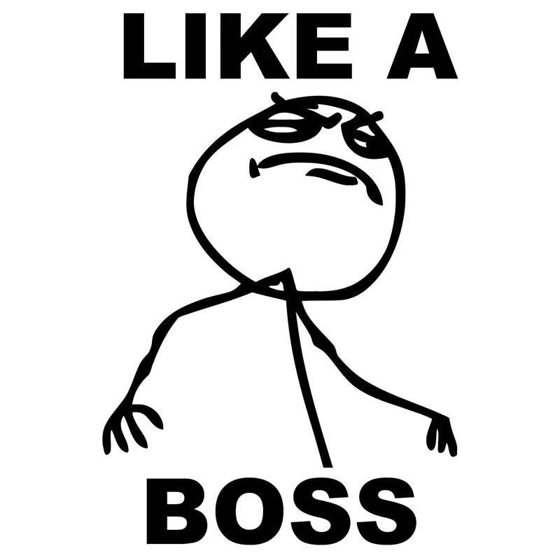 

10.3X15.5CM LIKE A BOSS Humorous modeling Funny Car-styling Car Stickers Vinyl Decal Black/Silver S8-0344