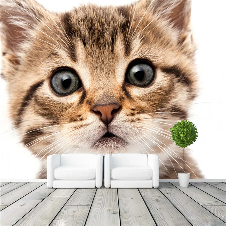 Cute cat Wall Mural Animal World Photo Wallpaper Custom size Wallpaper