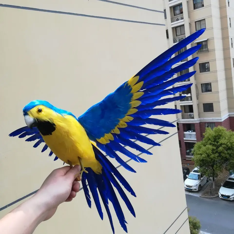 QQ20190411103859