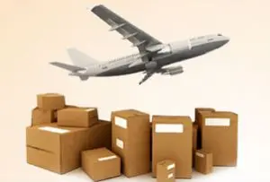 

Standard Shipping Fee