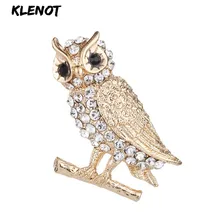 Милая брошь в форме Совы стразы броши для одежды воротник платье украшение для шарфа Женщины Полный Кристалл Сова на ветке брошь ювелирные изделия