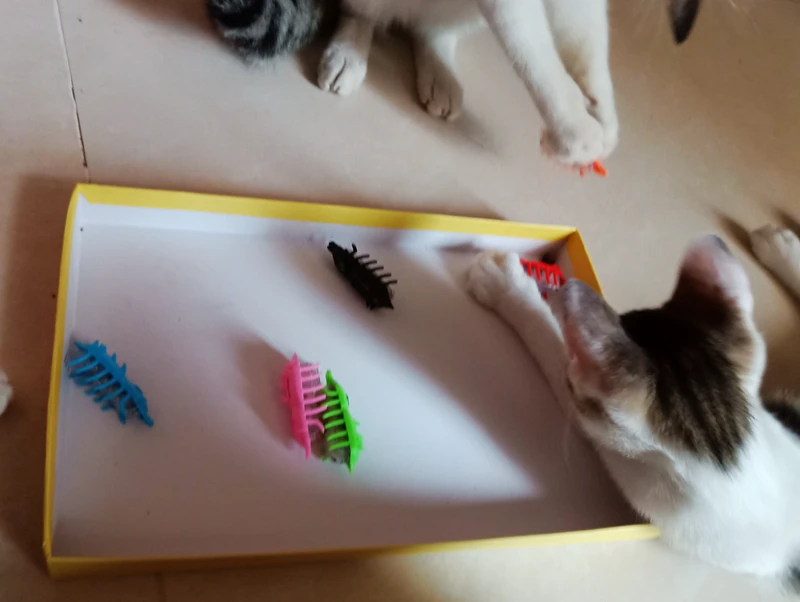 [MPK игрушки для кошек] игрушка для кошек, на батарейках навозный жук в 6 цветах, кот затейник, забавная игрушка для кошек