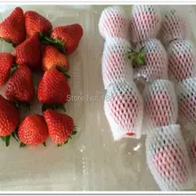 Утолщенный Белый EPE толстый Яйцевидный пенопласт клубника сетчатый рукав чистая пена фруктовый рукав легкая упаковка материал цена