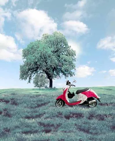 Motorcycle Natural Scenic Photography Digital Backdrop