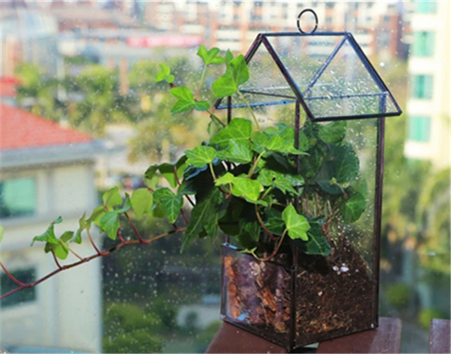 Glass Terrarium4.jpg