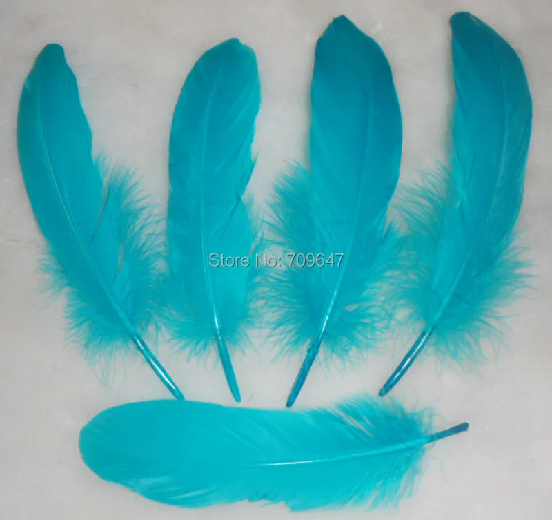 FMQ0055 (13)
