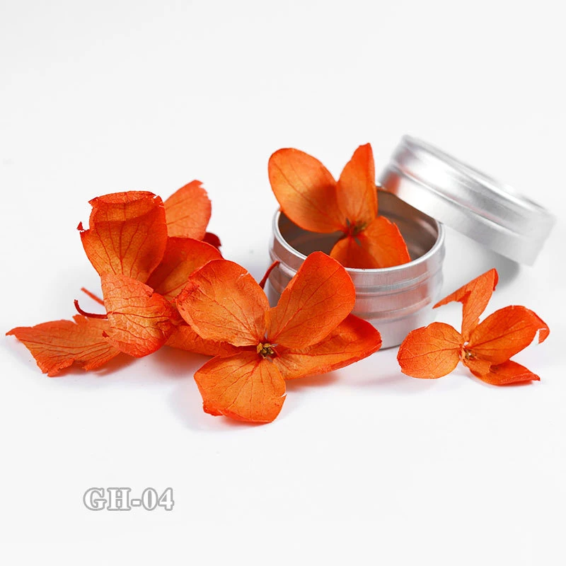 MEET ACROSS1 коробка сушеные цветы для украшения ногтей смешанный консервированный цветок натуральный цветочный стикер DIY Маникюр 3D дизайн ногтей украшение - Цвет: SS04290
