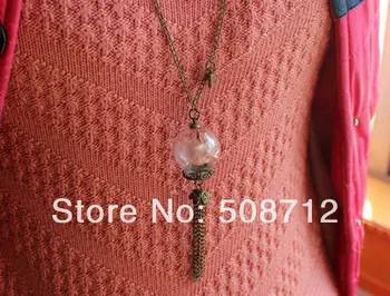 

25MM Captured Wish necklace,Seeds Necklace, natural history specimen in a clear jar necklace,Glass Orb,Glass Globe Necklace