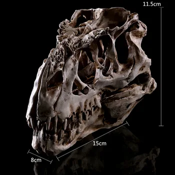 

Tyrannosaurus Tyrannosaurus Dinosaur Skull Specimens Resin Skull Halloween