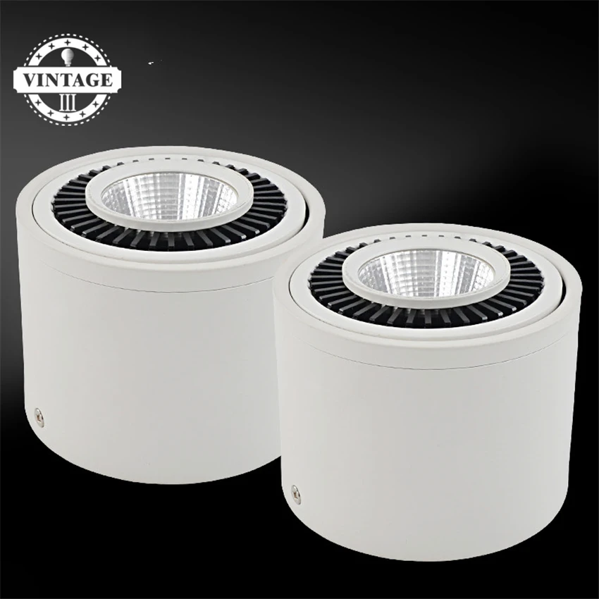 5W 7W 9W 20W Surface Mounted COB LED Downlights LED Ceiling Lamps Spot